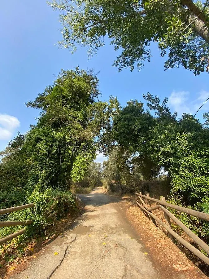 Tio Tesoro Villa Los Romeros Сasa de vacaciones