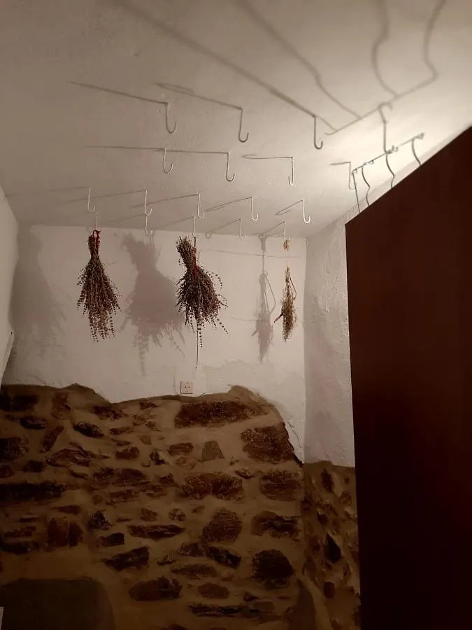 Tio Tesoro Villa Los Romeros Spain